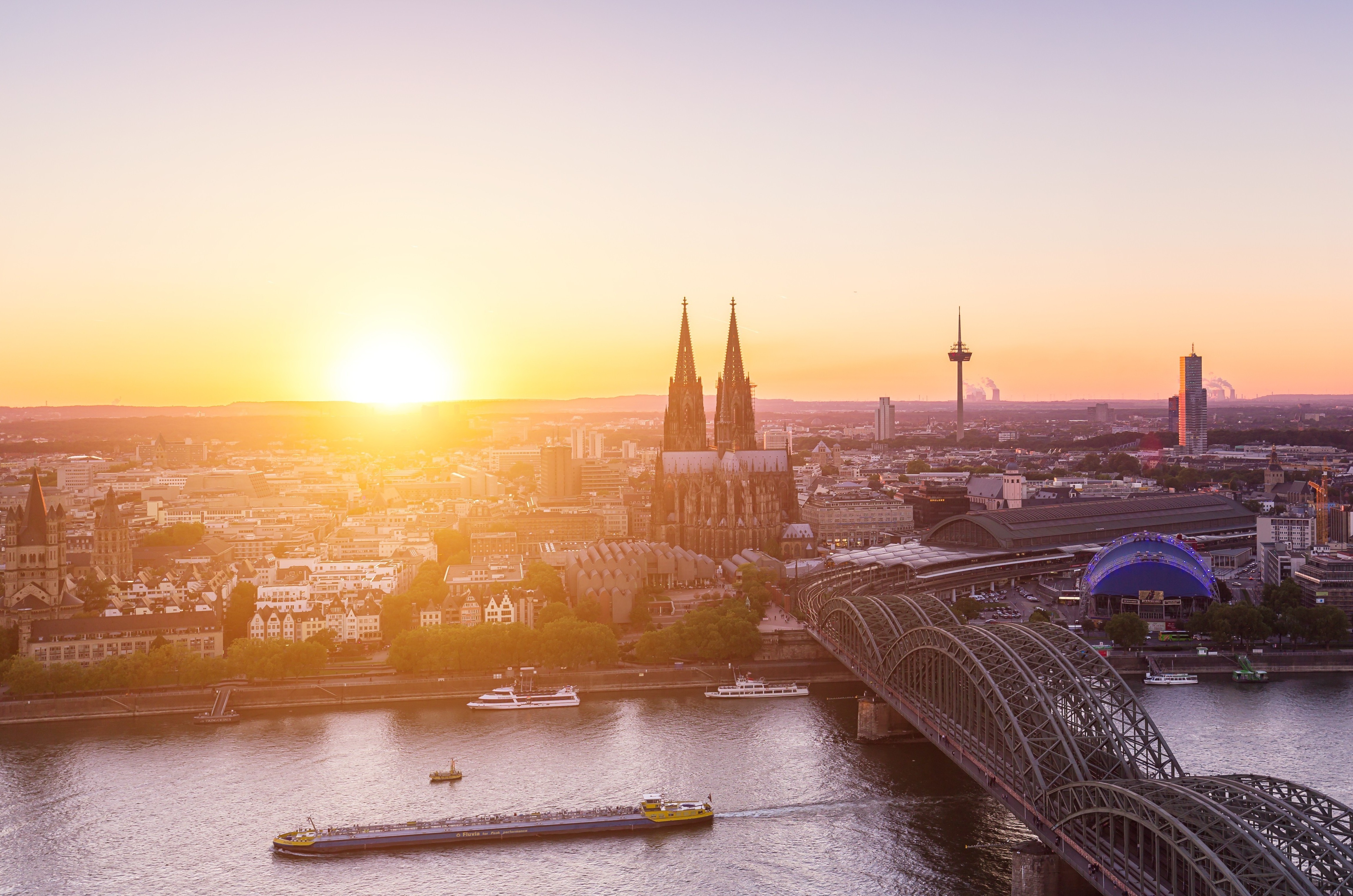 Cologne